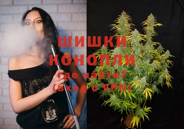 гидропоника Шали