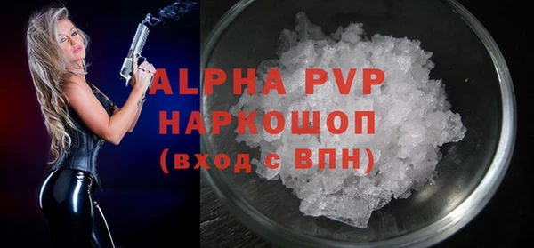 шишки Карпинск