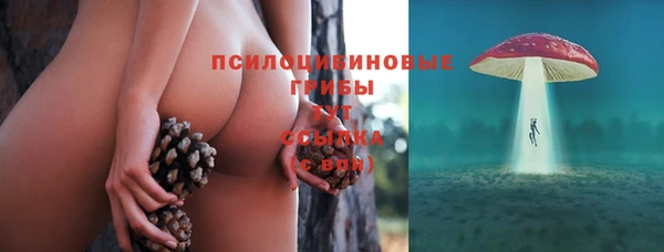 прущие грибы Карталы