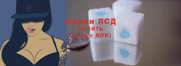 молекула духа Каменногорск
