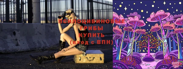прущая мука Шадринск
