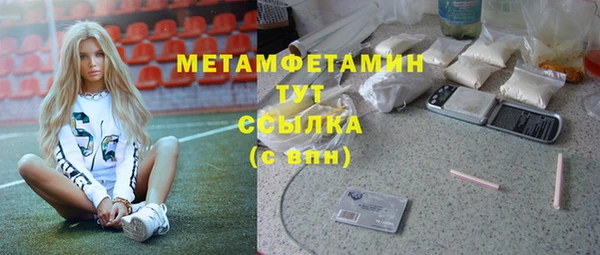 шишки Карпинск