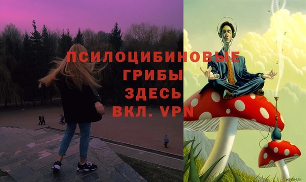 прущие грибы Карталы