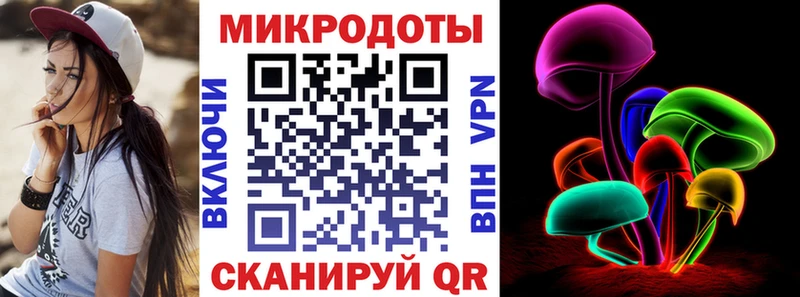 Галлюциногенные грибы Psilocybe Канск