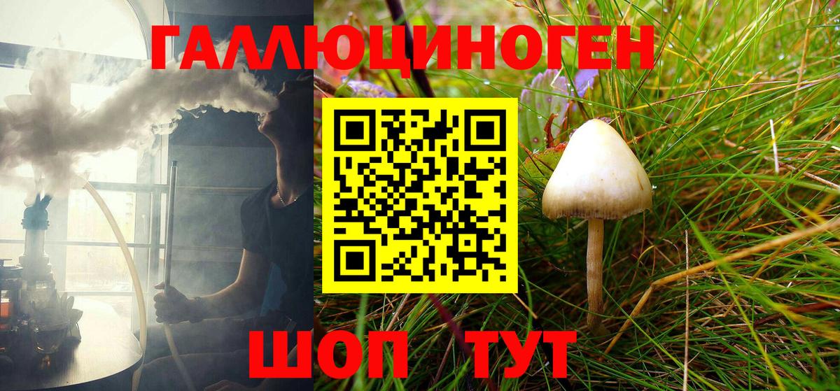 Канск  Галлюциногенные грибы мицелий  Вход с VPN 
